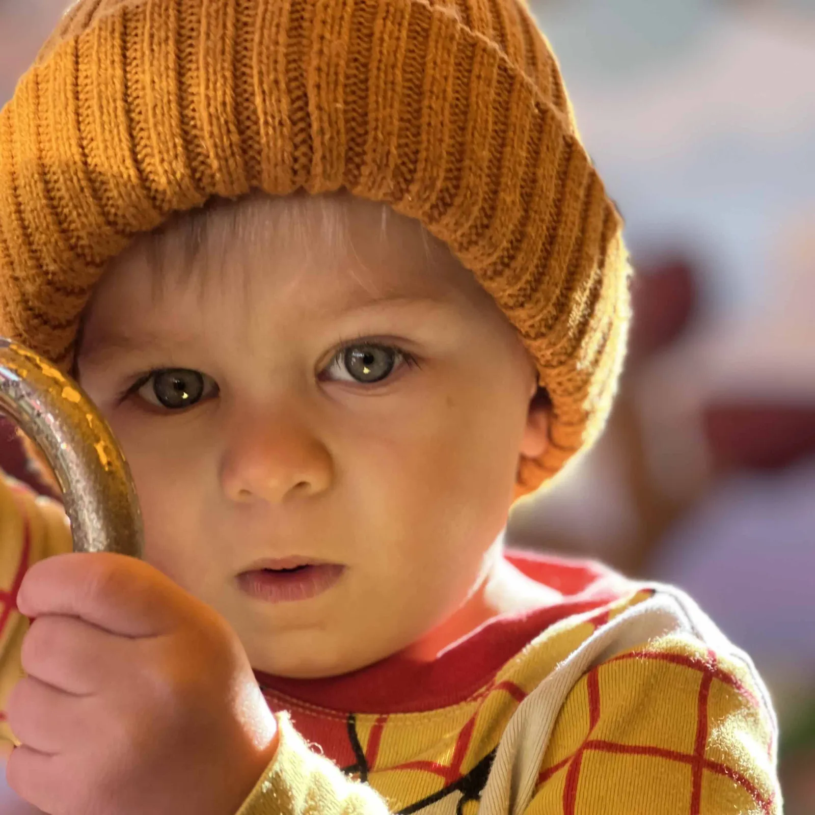 Mace. Future Builder at Projul